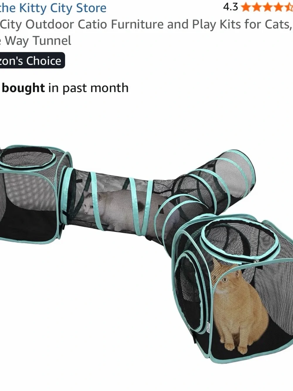 Catio Mesh Play & Storage Cubby in Teal and Black - Brand Unspecified